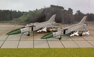 : Suchoi Su-22 Fitter F und G