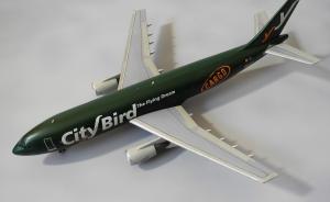 Galerie: Airbus A300C4-605R