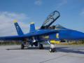 McDonnell Douglas F/A-18B Hornet (1:32 Academy)