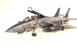 : Grumman F-14D Super Tomcat