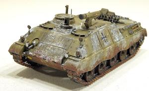 Galerie: Raketenjagdpanzer Jaguar 1