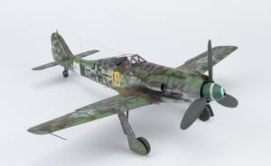 Galerie: Focke-Wulf Fw 190 D-13