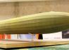 Zeppelin L20
