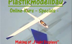 Galerie: Flight Displays