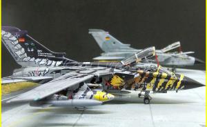 Galerie: Panavia Tornado ECR