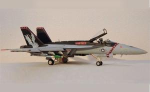 Galerie: Boeing F/A-18E Super Hornet