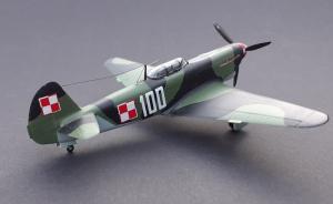 Galerie: Jakowlew Jak-9D