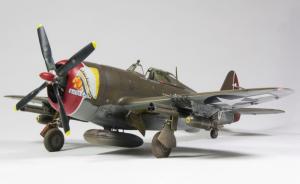 Bausatz: Republic P-47D Thunderbolt