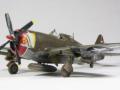 Republic P-47D Thunderbolt (1:48 Tamiya)