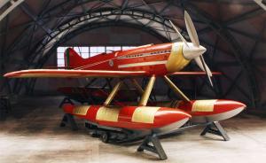 Macchi-Castoldi M.C.72