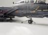Grumman F-14D  Super Tomcat