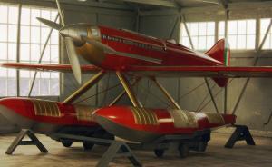 Macchi-Castoldi M.C.72