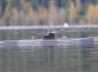 U-Boot Typ IX C