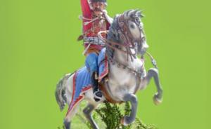 Preußischer Husar