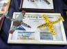 L-29 Delfin gebaut 1976 und 2016