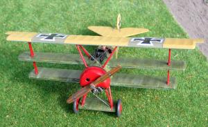 Galerie: Fokker Dr.I