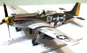 Galerie: P-51D-15-NA Mustang