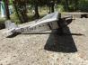 Dornier Merkur