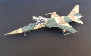 Galerie: Northrop F-5F Tiger II