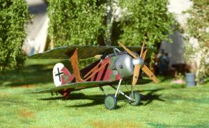 Albatros D.XI