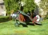 Albatros D.XI