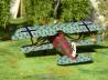 Albatros D.XI