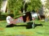 Albatros D.XI