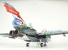 Panavia Tornado Fifty Years