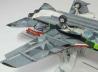 Panavia Tornado Fifty Years