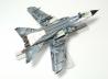 Panavia Tornado Fifty Years
