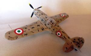 Galerie: Macchi MC.202 Folgore