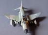McDonnell Douglas F-4F Phantom II