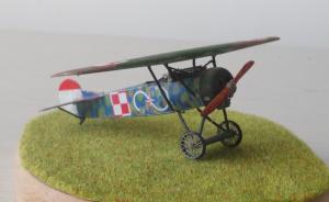 Fokker E.V (D.VIII)