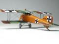 Albatros D.II (1:72 Roden)