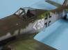 Focke-Wulf FW 190 D-11 