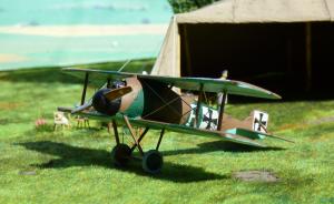 : LFG Roland D.II