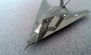 : Lockheed F-117A Stealth Fighter