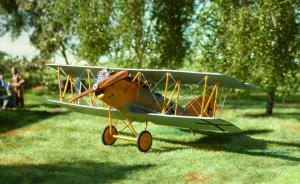 Pfalz D.XII