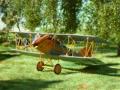 Pfalz D.XII (1:72 Toko)