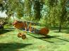 Pfalz D.XII