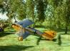 Pfalz D.XII