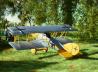Pfalz D.XII