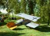 Pfalz D.XII