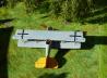 Pfalz D.XII