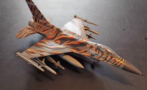 Galerie: Lockheed Martin F-16C