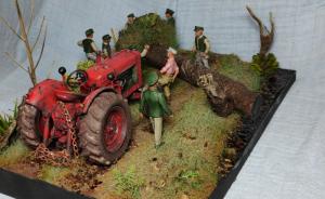 : Das Geheimnis im Moor