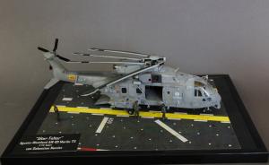 : AgustaWestland AW-101 Merlin TTI