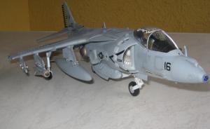 Bausatz: McDonnell Douglas AV-8B Harrier II