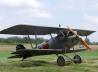 Pfalz D.III