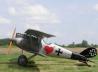 Pfalz D.III